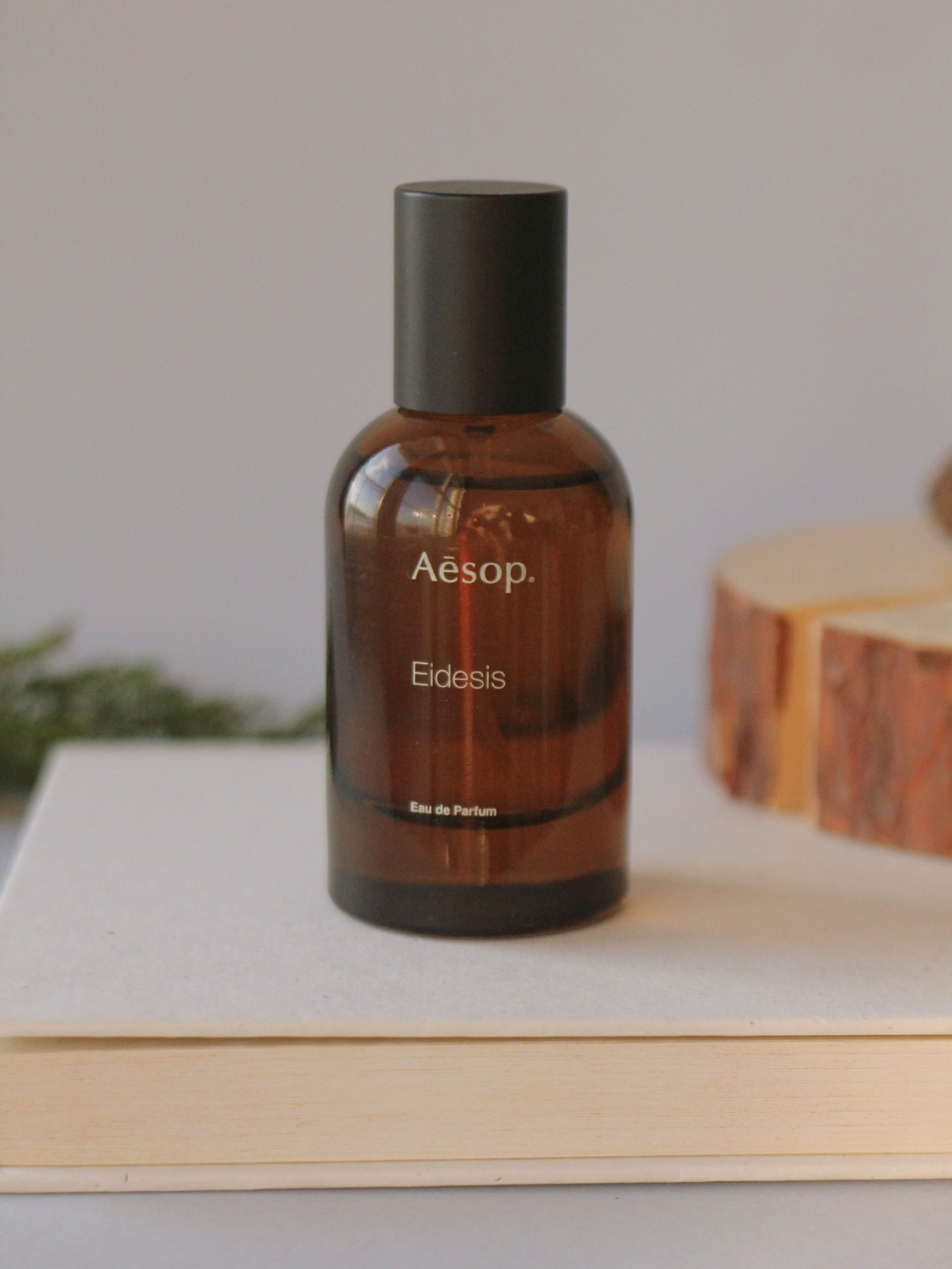 Aesop Eidesis