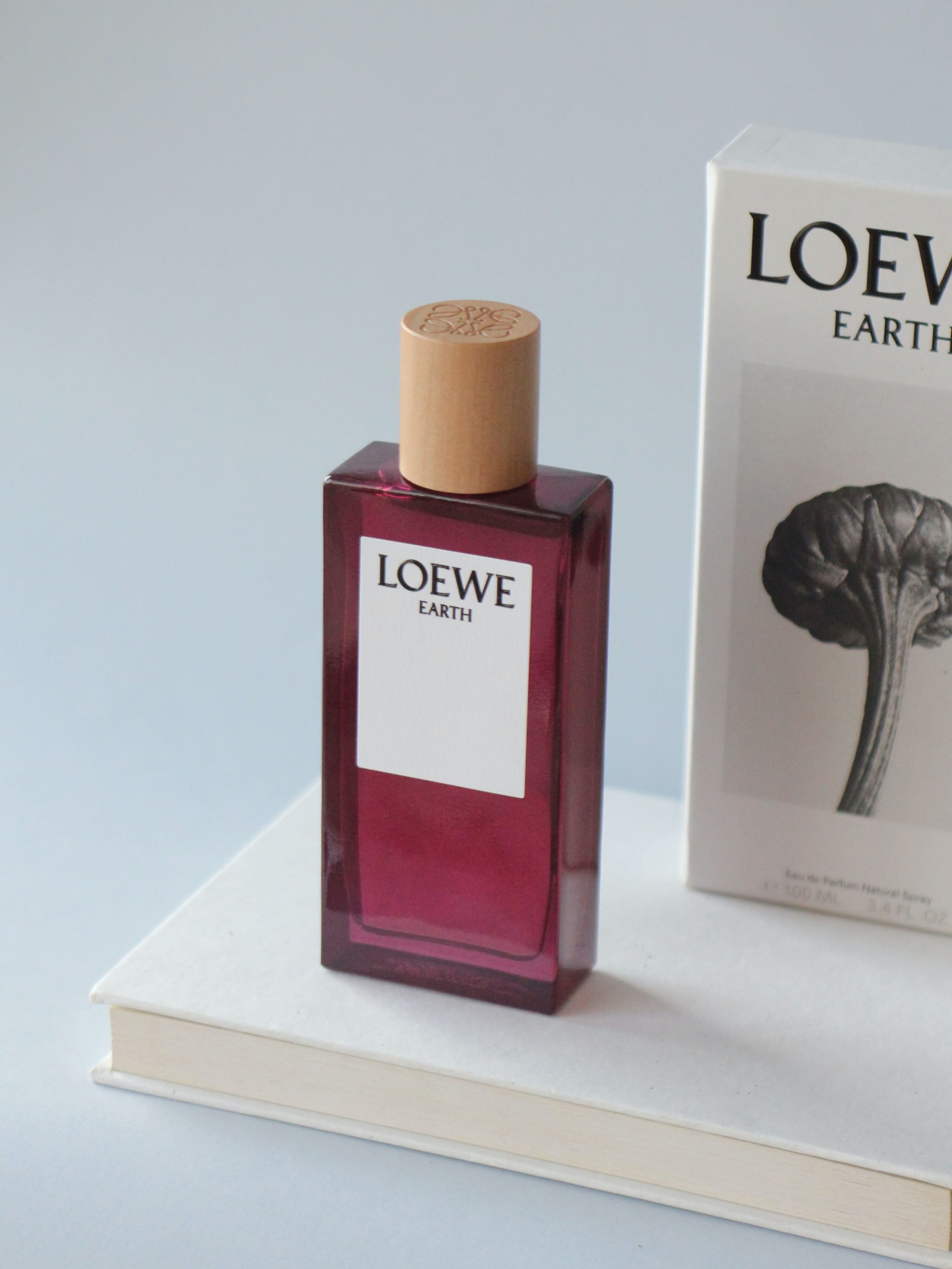 Loewe Earth