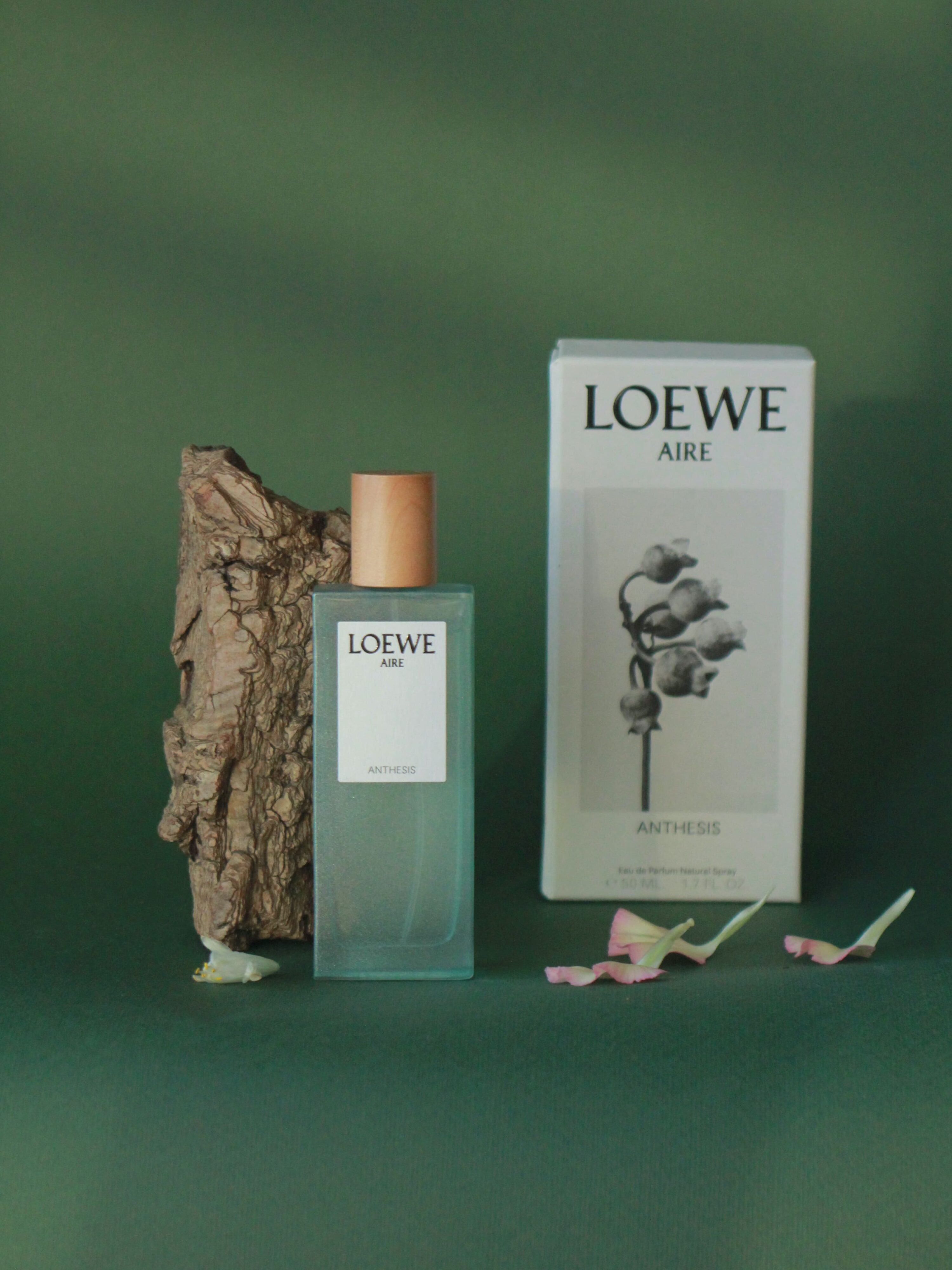 Loewe Aire Anthesis