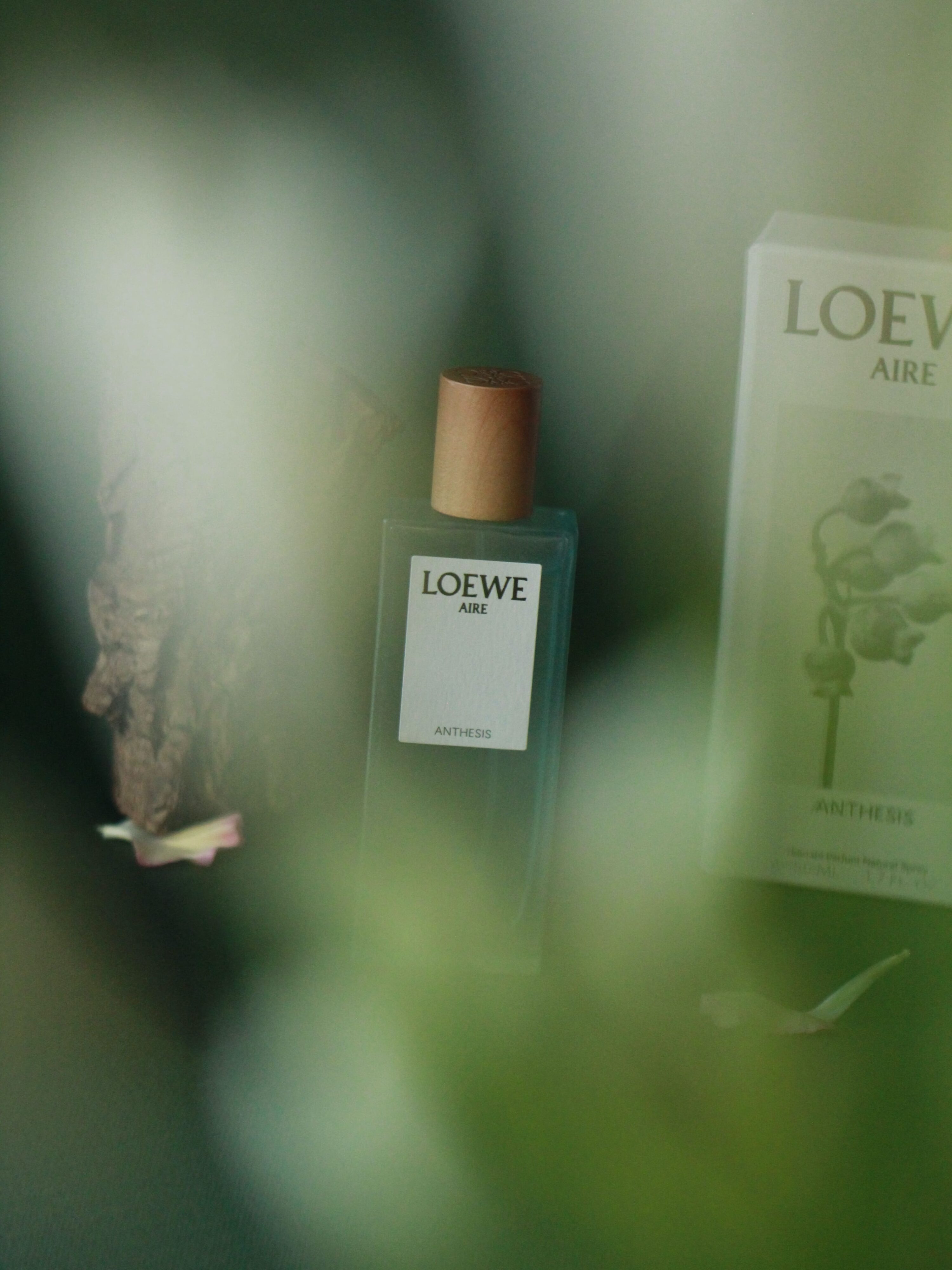 Loewe Aire Anthesis