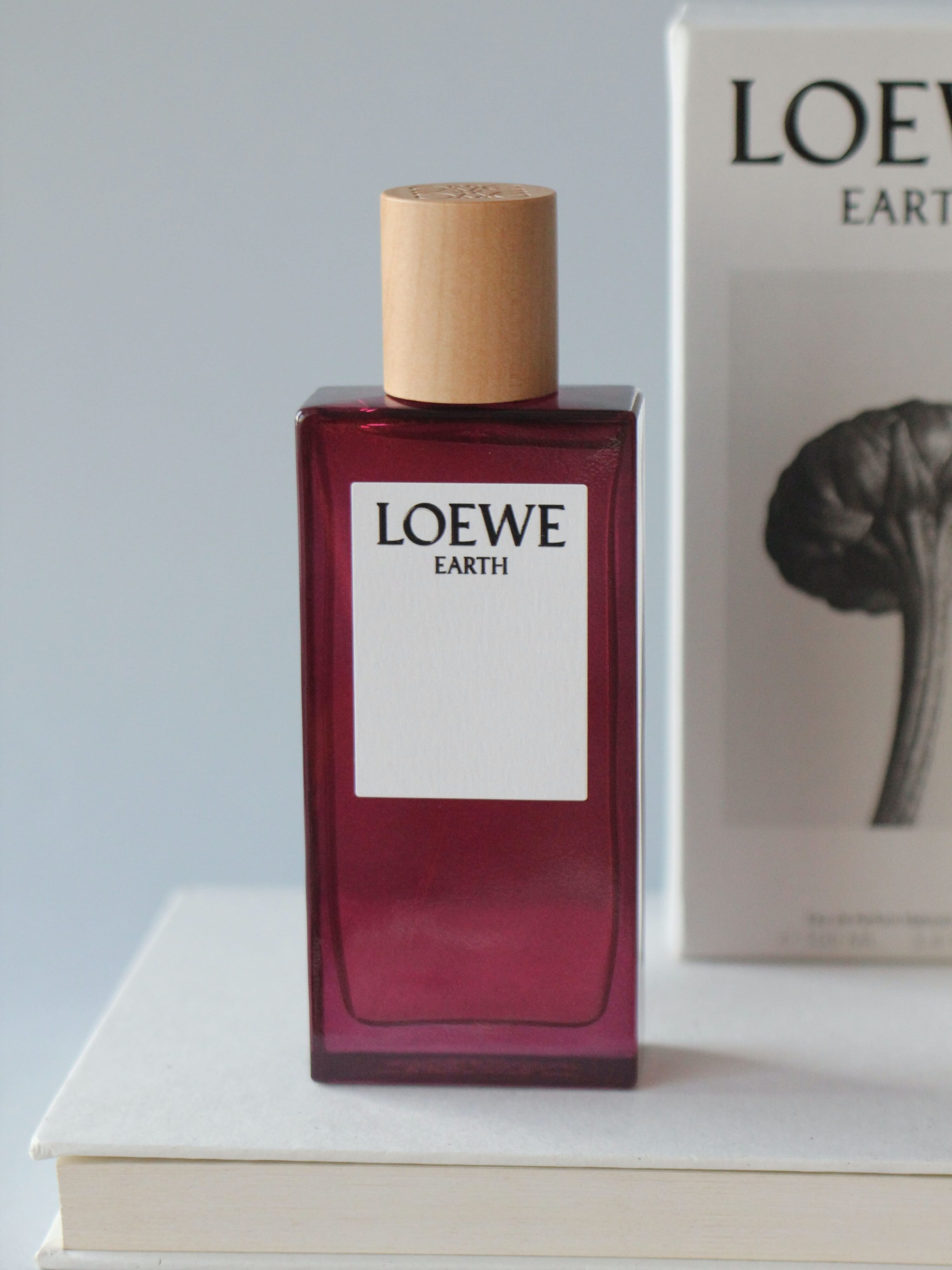 Loewe Earth