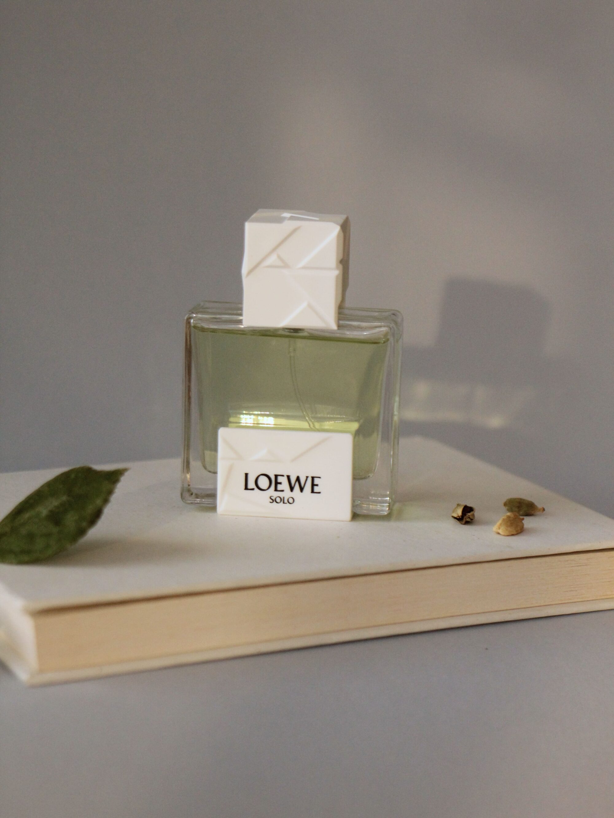 Loewe Solo Origami