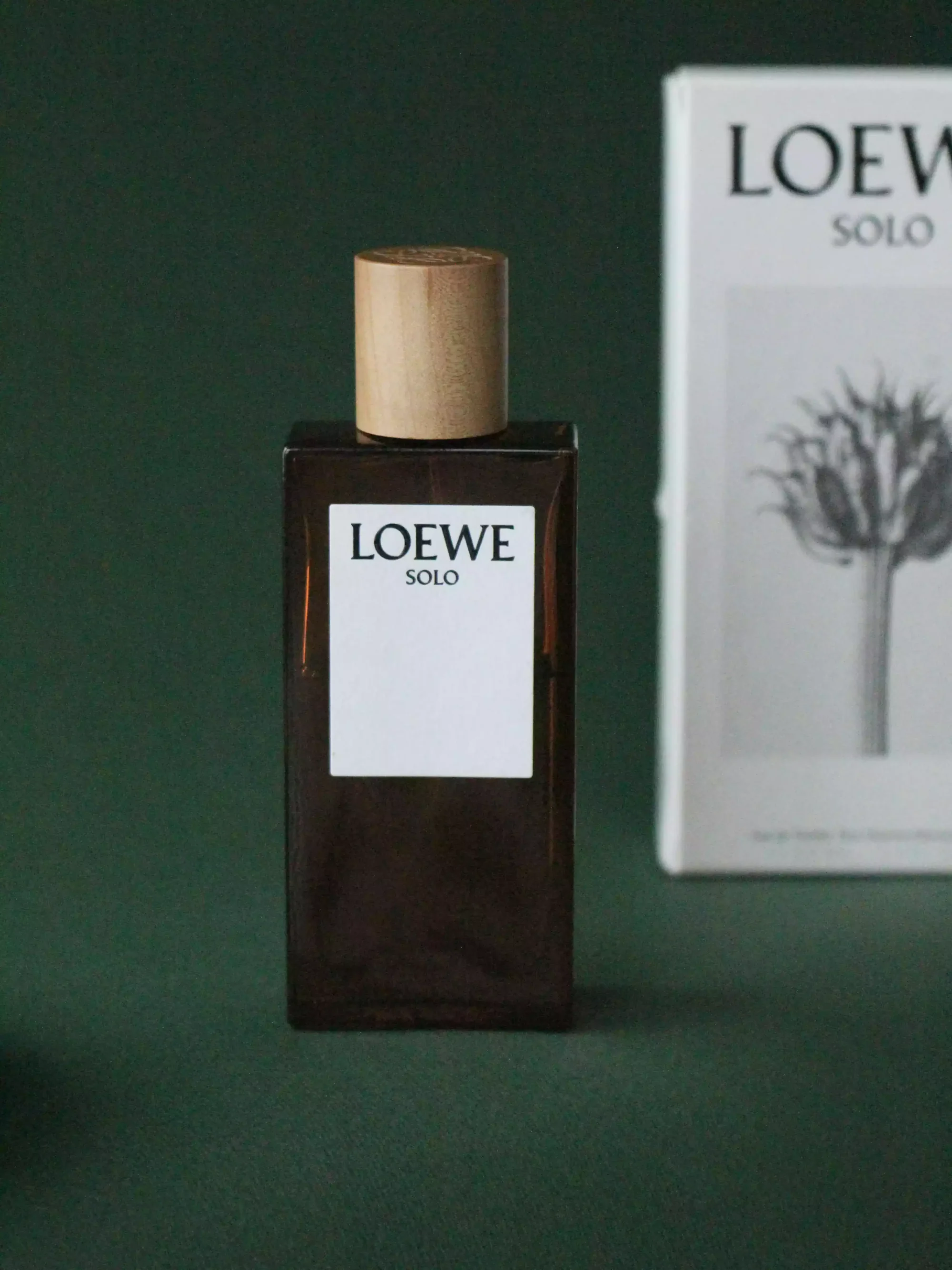 Loewe Solo