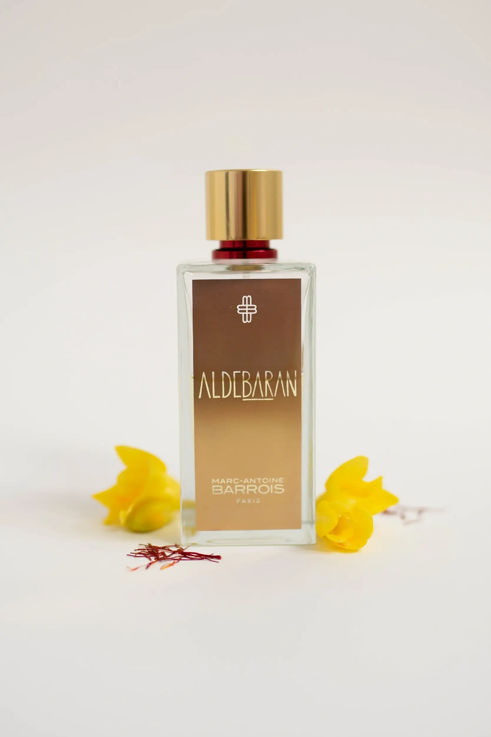 Marc-Antoine Barrois Aldebaran